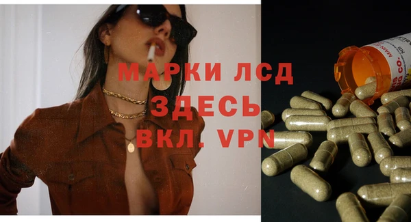 спайс Беломорск