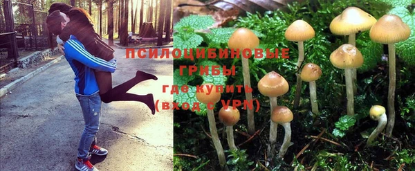 спайс Беломорск