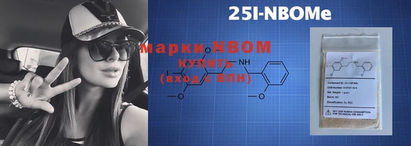 МДПВ Пересвет