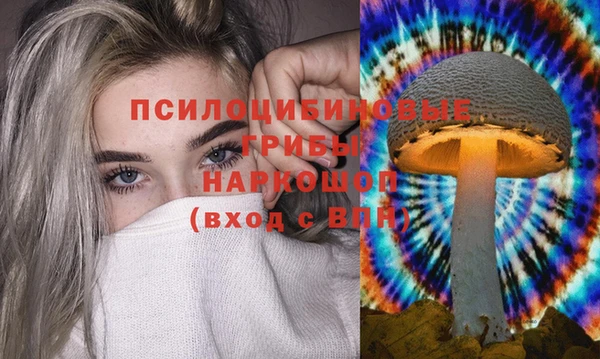 первитин Белокуриха
